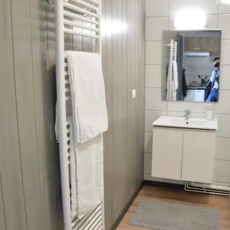 Le Delta - Centre Chu - Parking Privé - Netflix