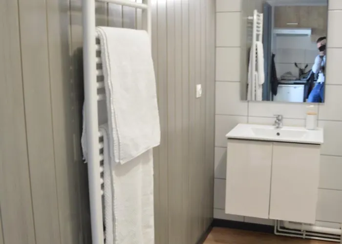 Le Delta - Centre Chu - Parking Prive - Netflix