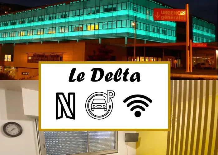 Le Delta - Centre Chu - Parking Prive - Netflix